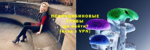 дживик Алзамай