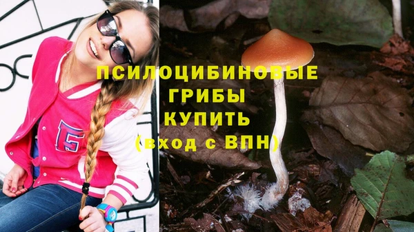 дживик Алзамай