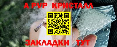 стафф Пенза